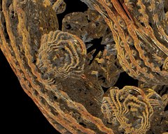 Mandelbulb391a